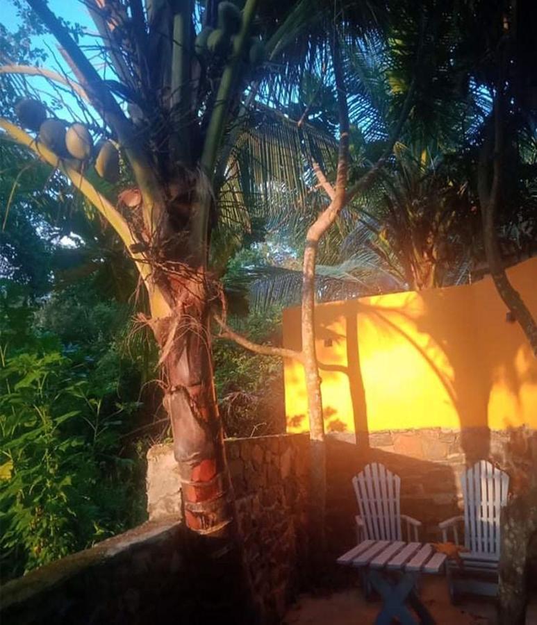 View Guesthouse & Bistro At Goyambokka タンガラ エクステリア 写真