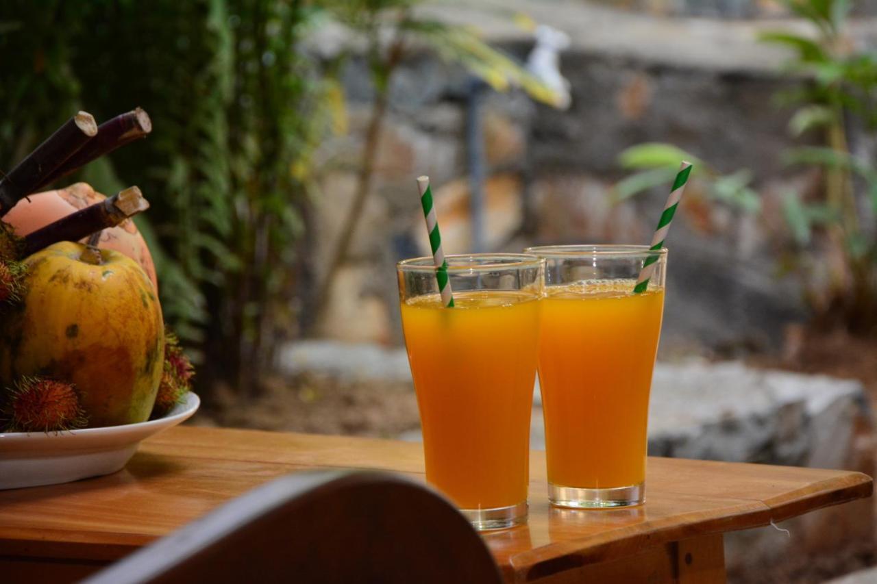 View Guesthouse & Bistro At Goyambokka タンガラ エクステリア 写真