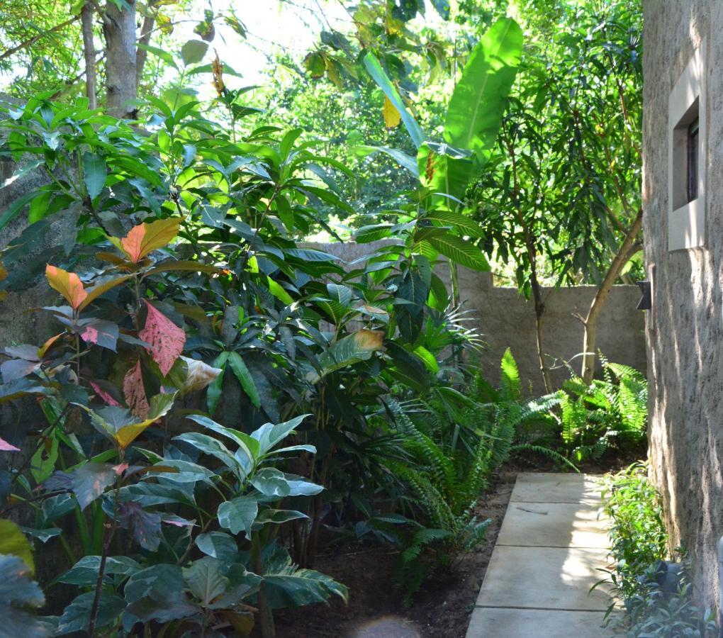View Guesthouse & Bistro At Goyambokka タンガラ エクステリア 写真